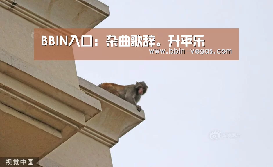 BBIN视讯