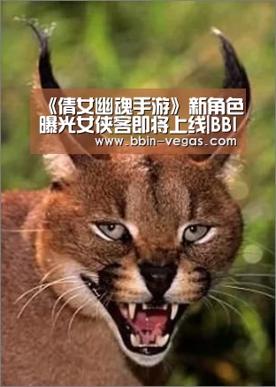 《倩女幽魂手游》新角色曝光女侠客即将上线|BBIN官网(图1) BBIN入口