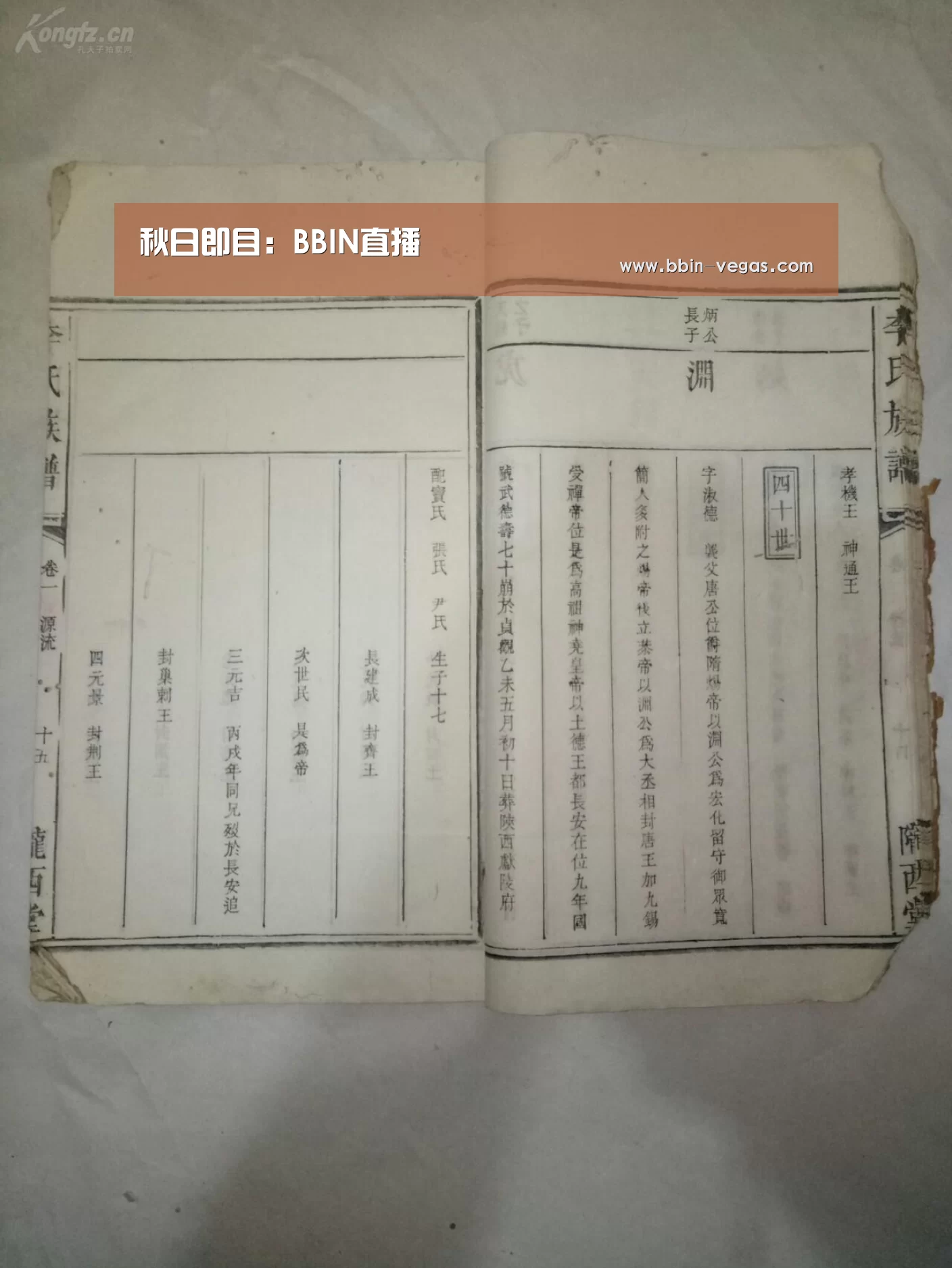 秋日即目:BBIN直播(图3) BBIN入口